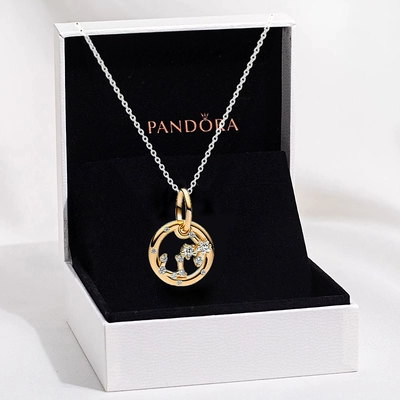 12 Zodiac Dangle Shine Charms Necklaces 45CM