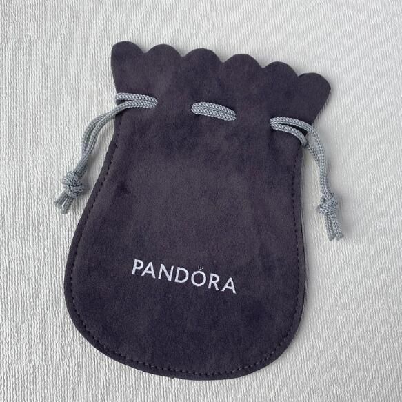 Auth Original Velvet Cloths Bag 