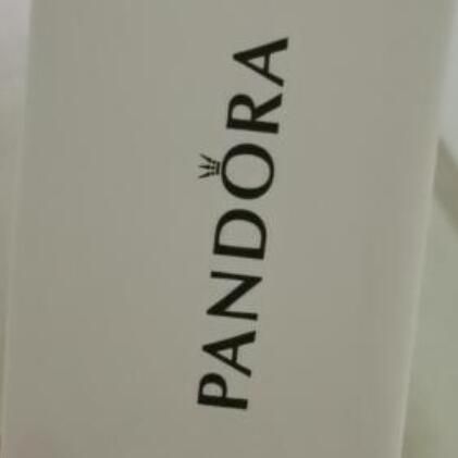Auth Original Paper Envelope bag
