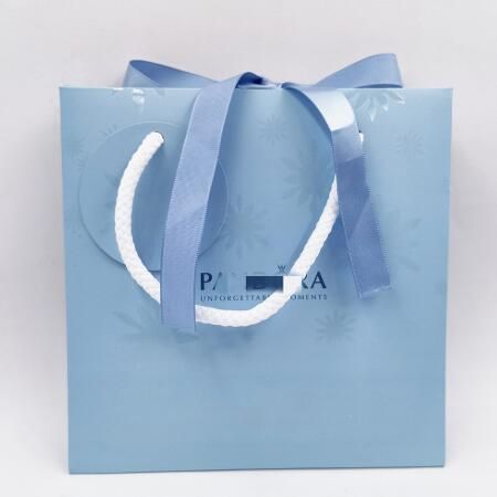 Auth Original Paper Packing Bags