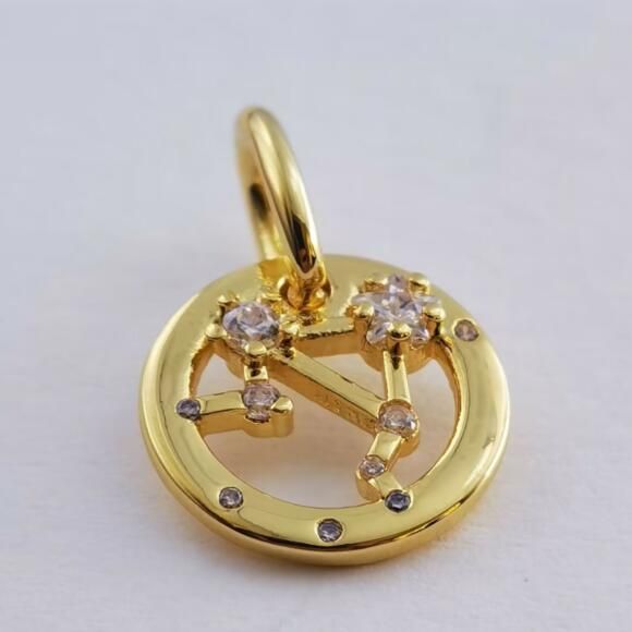 12 Zodiac Dangle Shine Charms