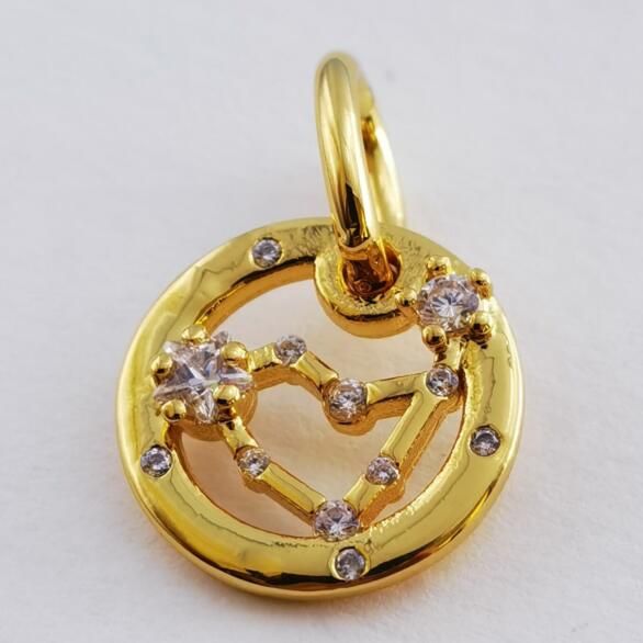 12 Zodiac Dangle Shine Charms