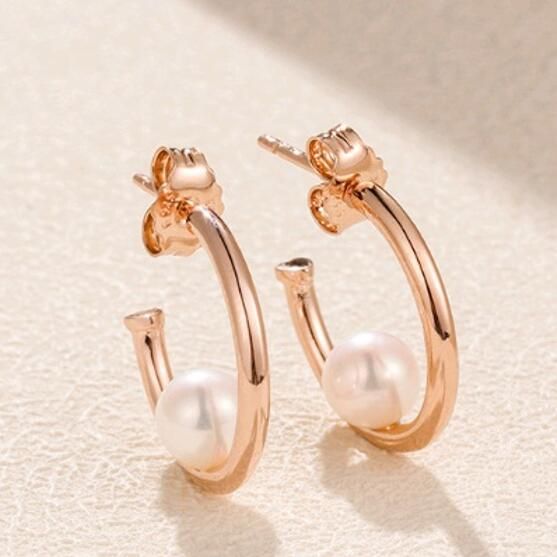 AAA GRADE Rose Gold Plated Hook Earrings