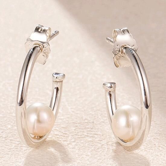 AAA GRADE S925 ALE Sterling Silver Hook Earrings