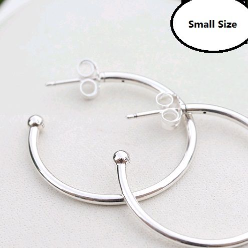 AAA GRADE S925 ALE Sterling Silver Hook Earrings