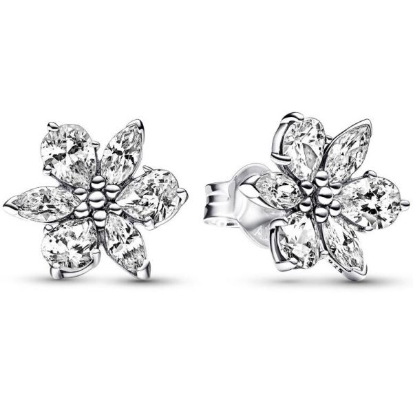 AAA GRADE S925 ALE Sterling Silver Stud Earrings