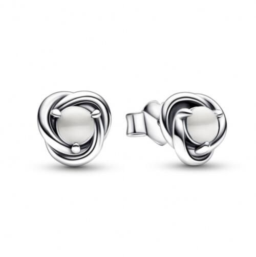 AAA GRADE S925 ALE Sterling Silver Stud Earrings