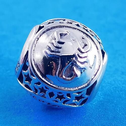 AAA GRADE S925 ALE Zodiac Beads