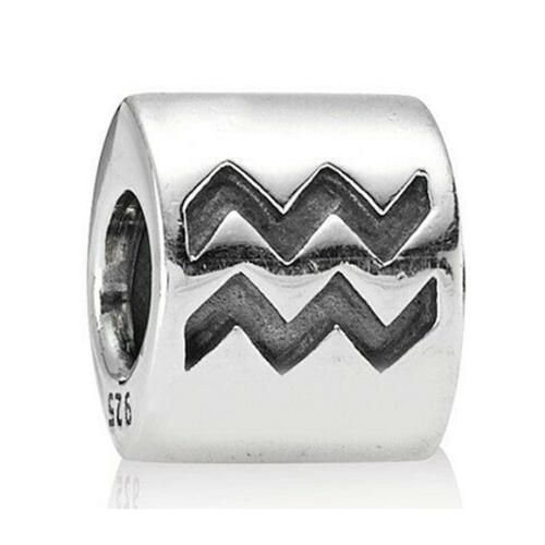 AAA GRADE S925 ALE Zodiac Beads