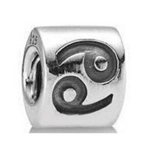 AAA GRADE S925 ALE Zodiac Beads