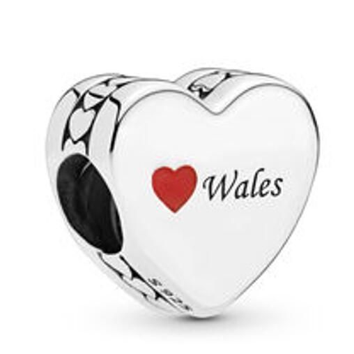 AAA GRADE S925 ALE Sterling Silver Customs Charms