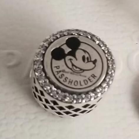AAA GRADE S925 ALE Sterling Silver Charms