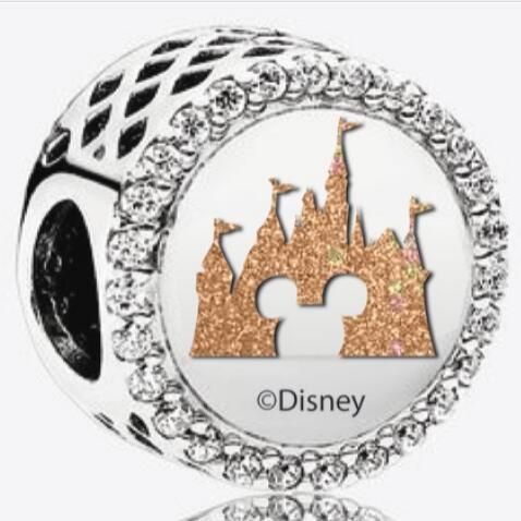 AAA GRADE S925 ALE Sterling Silver Charms