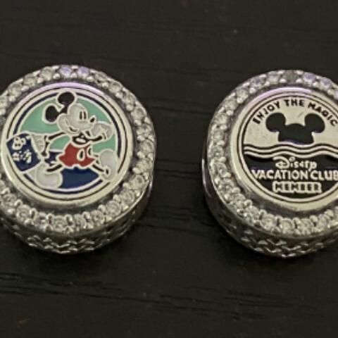 AAA GRADE S925 ALE Sterling Silver Charms 