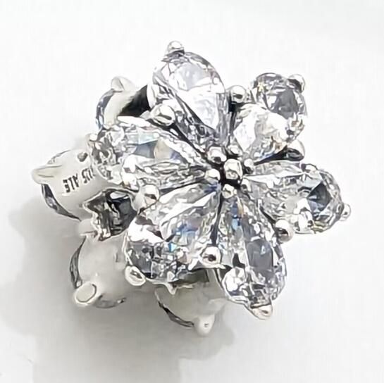 AAA GRADE S925 ALE Sterling Silver Charms