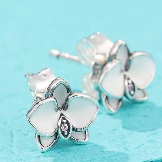 AAA GRADE S925 ALE Sterling Silver Stud Earrings