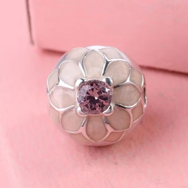 AAA GRADE S925 ALE Sterling Silver Charm Clips