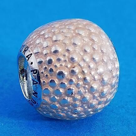 AAA GRADE S925 ALE Sterling Silver Charms