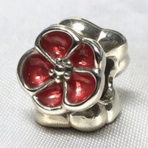 AAA GRADE S925 ALE Sterling Silver Charms