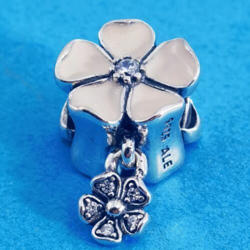 AAA GRADE S925 ALE Sterling Silver Charms
