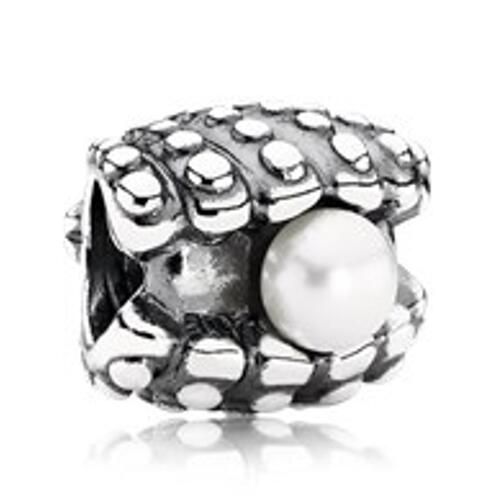 AAA GRADE S925 ALE Sterling Silver Charms