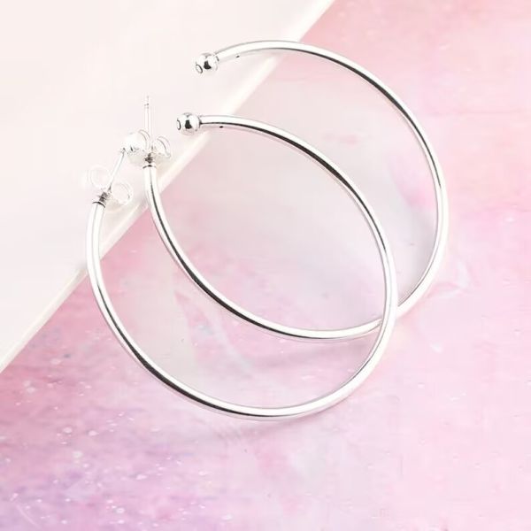 AAA GRADE S925 ALE Sterling Silver Hook Earrings