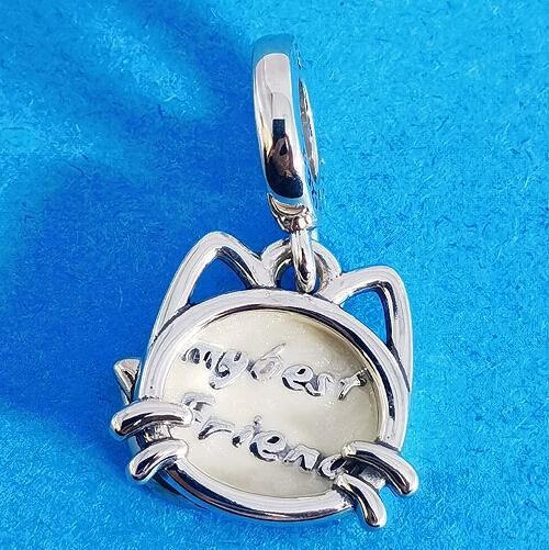 AAA GRADE S925 ALE Sterling Silver Dangle Charms