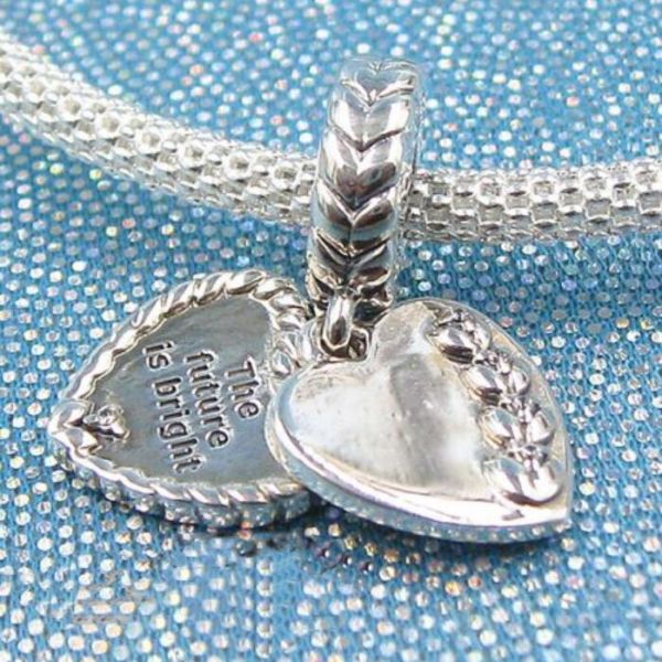 AAA GRADE S925 ALE Sterling Silver Dangle Charms