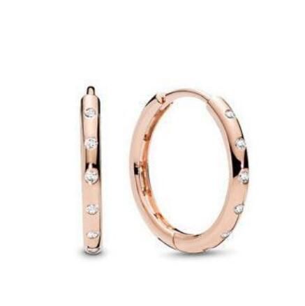 Promotion 1:1 COPY S925 ALE Sterling Silver Earrings