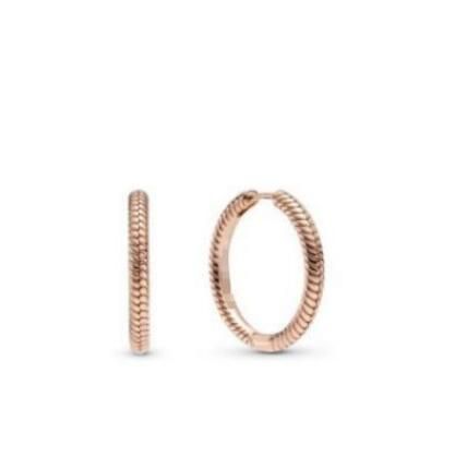 Promotion 1:1 COPY S925 ALE Sterling Silver Earrings