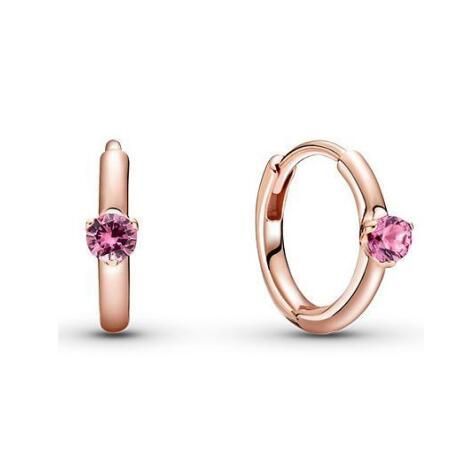 Promotion 1:1 COPY S925 ALE Sterling Silver Earrings