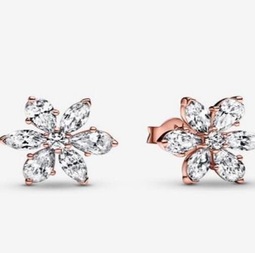 Promotion 1:1 COPY S925 ALE Sterling Silver Earrings