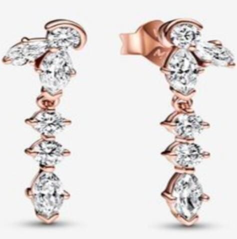 Promotion 1:1 COPY S925 ALE Sterling Silver Earrings