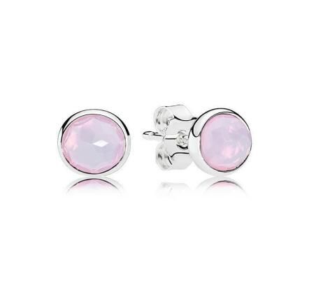 Promotion 1:1 COPY S925 ALE Sterling Silver  Earrings