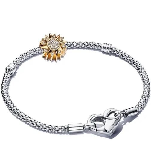 SET New Arrive AAA GRADE Bracelets With 1PC Charms