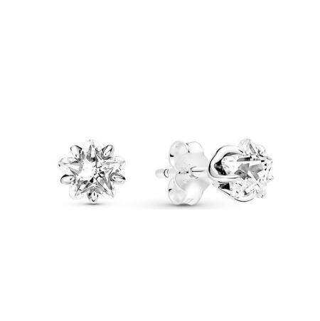 Promotion 1:1 COPY S925 ALE Sterling Silver Earrings