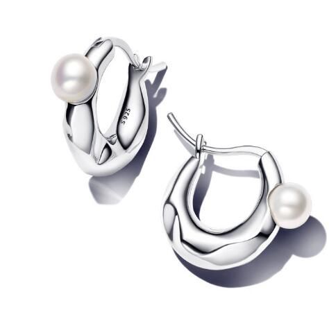 Promotion 1:1 COPY S925 ALE Sterling Silver Earrings