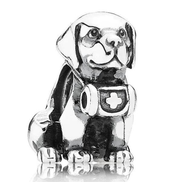 Promotion 1:1 COPY S925 ALE Sterling Silver Charms