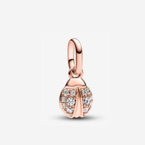 AAA GRADE S925 ALE Sterling Silver Me Charms  