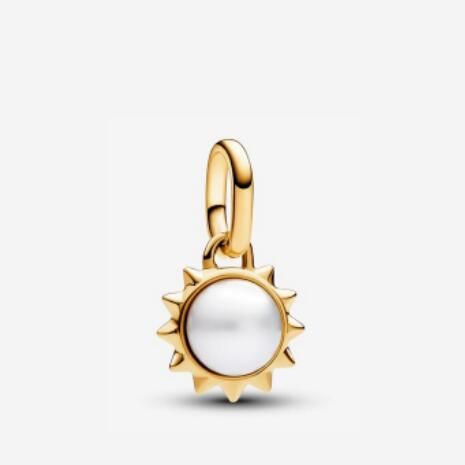 AAA GRADE S925 ALE Sterling Silver Me Charms  