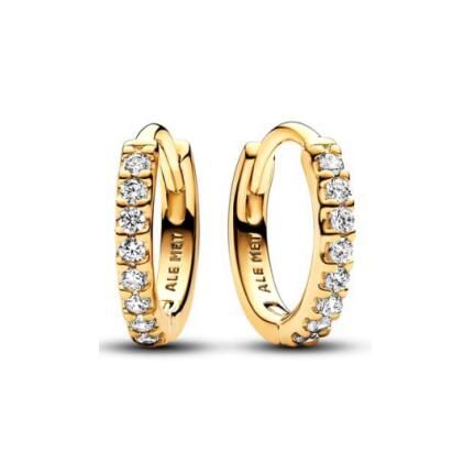 Promotion  1:1 COPY S925 ALE Sterling Silver Earrings