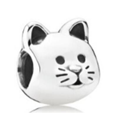 10PCS Promotion AAA GRADE S925 ALE Sterling Silver Charms