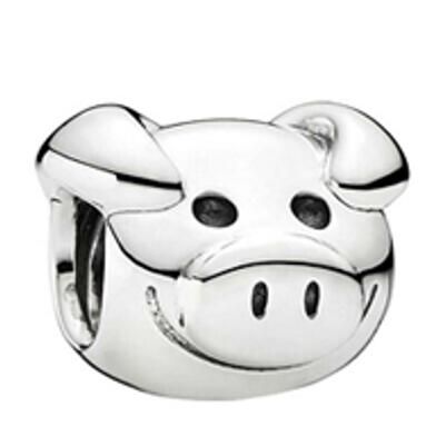 10PCS Promotion AAA GRADE S925 ALE Sterling Silver Charms