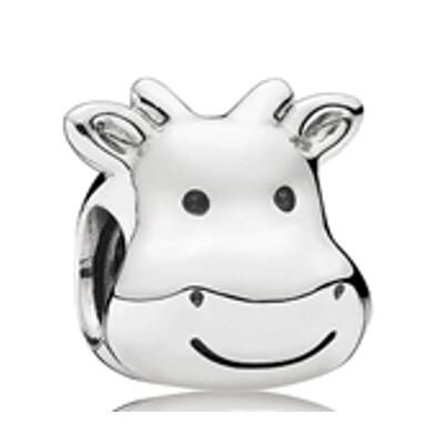 10PCS Promotion AAA GRADE S925 ALE Sterling Silver Charms