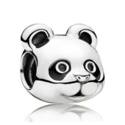 10PCS Promotion AAA GRADE S925 ALE Sterling Silver Charms