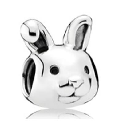 10PCS Promotion AAA GRADE S925 ALE Sterling Silver Charms