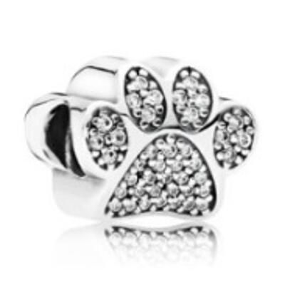 10PCS Promotion AAA GRADE S925 ALE Sterling Silver Charms
