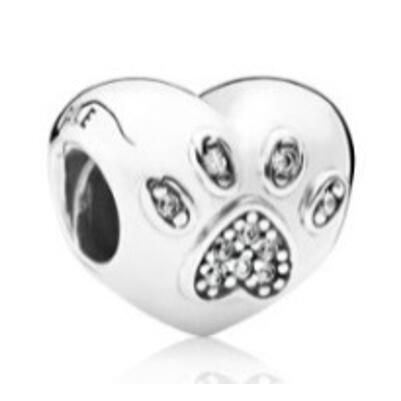10PCS Promotion AAA GRADE S925 ALE Sterling Silver Charms
