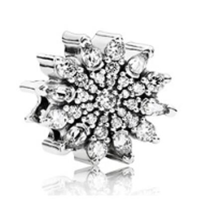 10PCS Promotion AAA GRADE S925 ALE Sterling Silver Charms