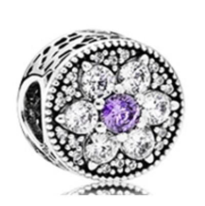 10PCS Promotion AAA GRADE S925 ALE Sterling Silver Charms